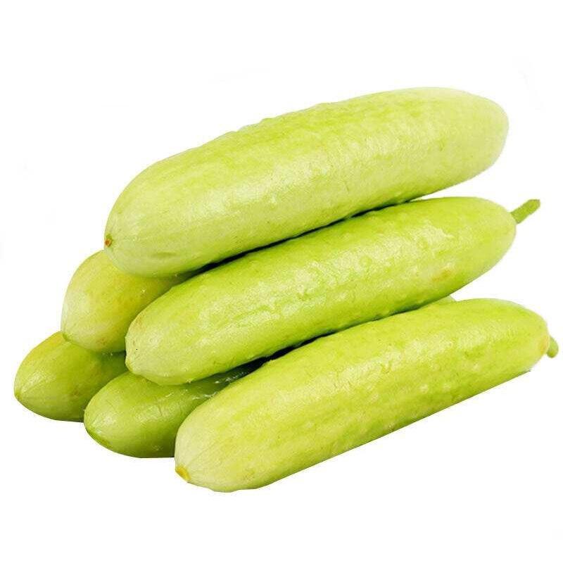 上海发白玉黄瓜1kg旱黄瓜白黄瓜新鲜蔬菜