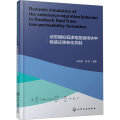 动态模拟低渗地层返排水中物质迁移转化机制（英文版)