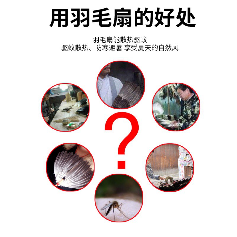 羽毛扇子诸葛亮孔雀扇舞蹈儿童蒲扇夏季宝宝扇大号孔明扇鹅毛扇子 三维工匠 诸葛黑三层高清大图