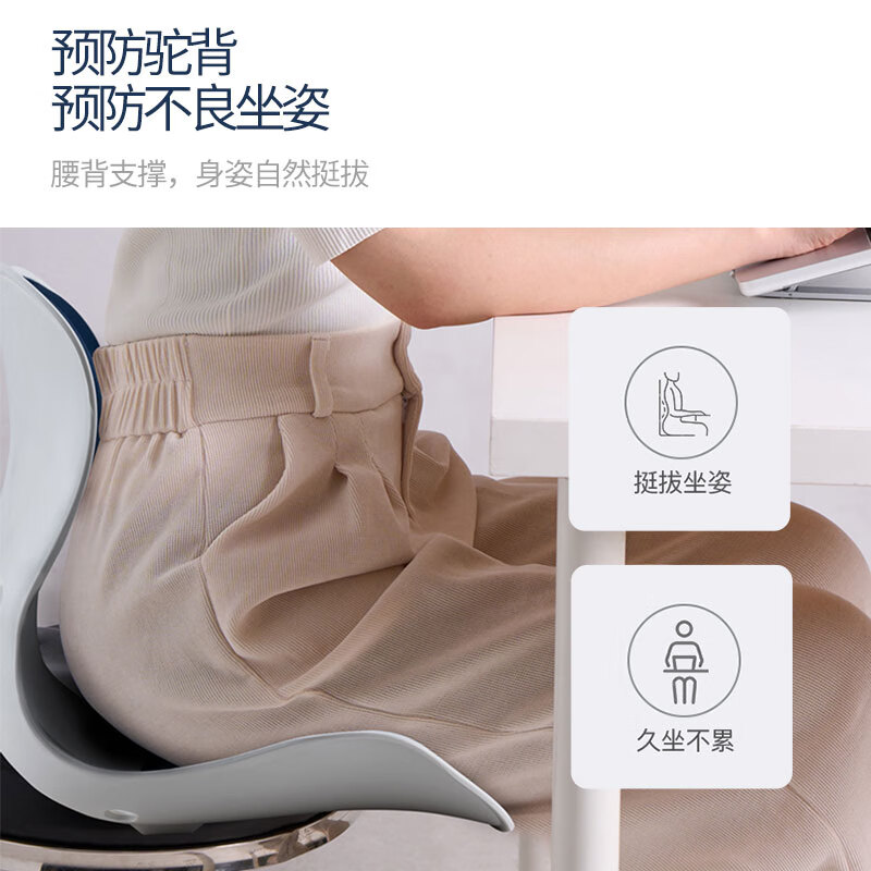 西莱森 护腰坐垫CP-WP1高清大图
