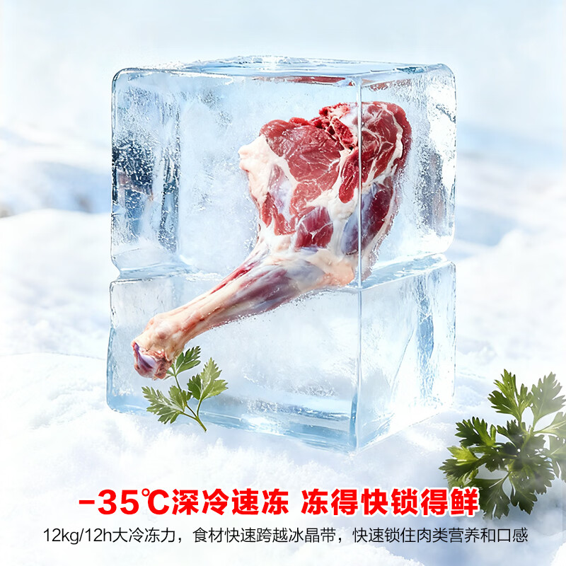 容声300升一级能效节能省电大容量冰柜冷藏冷冻转换减霜单温高效低噪卧式冷柜BD/BC-300E10HNLBJ高清大图
