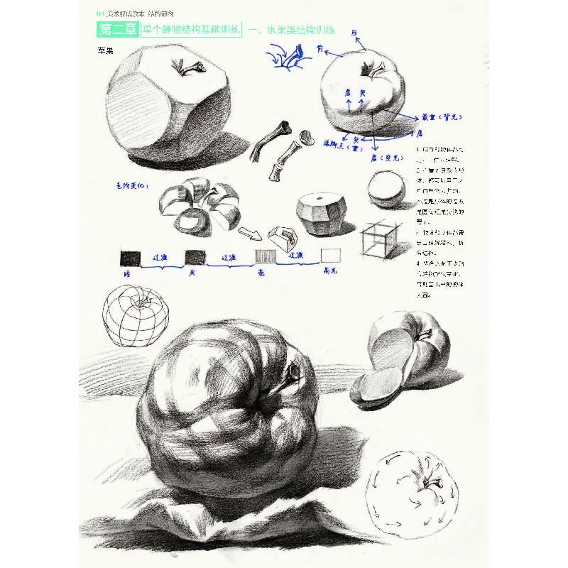 醉染图书美术教本——结构静物9787229108953高清大图