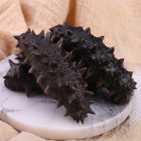 海洋岛 大连野生海参 盐渍辽参 拉缸盐半干海刺参礼盒21-25头500g