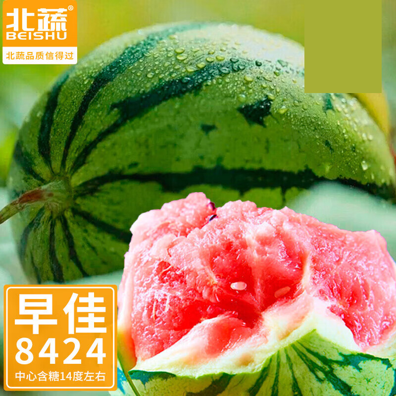 麒麟8424冰糖甜西瓜种子 60粒/袋