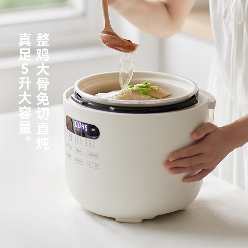 olayks立时OLK-501D电压力锅5L陶白高清大图