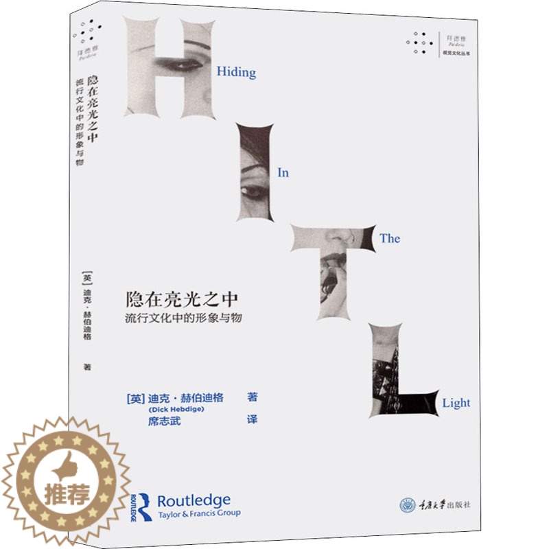 【醉染正版】隐在亮光之中 流行文化中的形象与物迪克赫伯迪格 著 席志武 译 艺术理论书籍