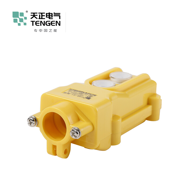 天正电气 COB 复位型 塑料 1对 上下 08010010001 按钮开关
