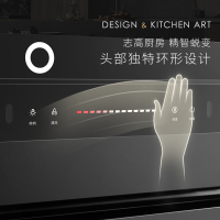 志高(CHIGO)JJZY-V9-4语音体感左烤右蒸集成灶液化气+900MM超声波清洗集成水槽洗碗机集成厨电套装