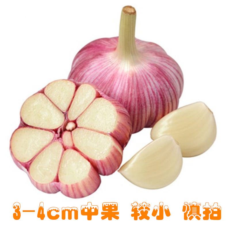 2斤中小果 河南新蒜新鲜大蒜紫皮精选10斤2斤紫皮大蒜头批发鲜蒜腌制糖醋蒜甘鲜生