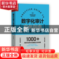 数字化审计实务指南