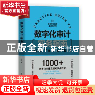 正版 数字化审计实务指南 程广华著 人民邮电出版社 978711557005