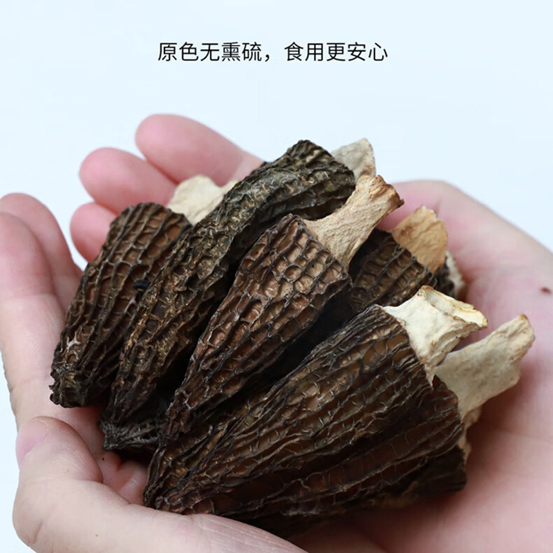 贡极茸道羊肚菌人工羊肚菌高原特产茸道人工菌礼盒100g*1盒