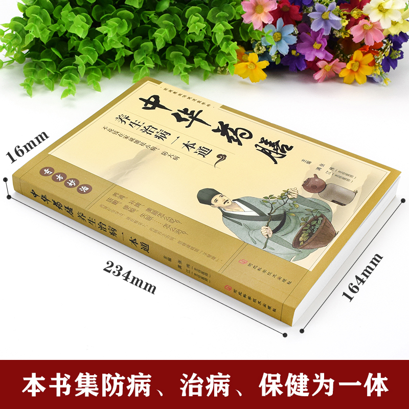 [醉染正版]正版 中华药膳养生治病一本通 中药药膳养生汤 强身健体中医食疗 家常菜谱营养餐烹饪美食食谱 家庭健康保健高清大图