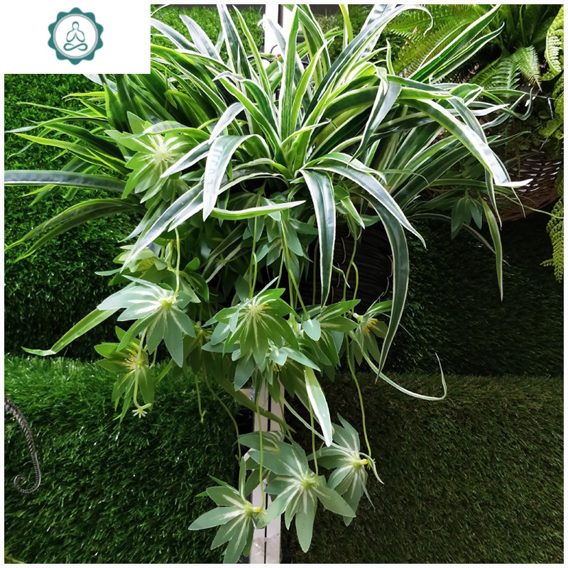 仿真绿植植物盆栽绿萝吊兰塑料假花客厅摆放装饰挂壁垂吊摆件花艺 封后 多花吊兰一束仿真植物
