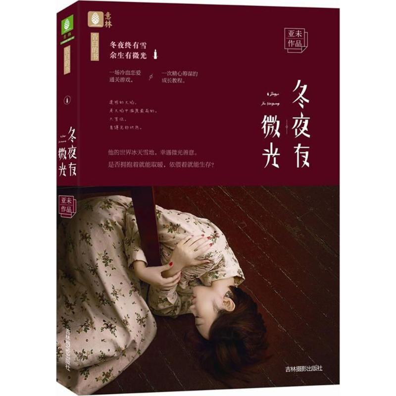 正版新书]冬夜有微光亚未9787549833467高清大图