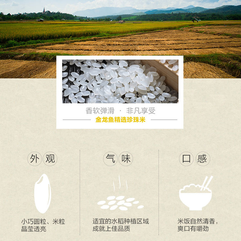 金龙鱼葵花籽清香调和油5L+金龙鱼精选珍珠米5KG大米组合家用食用高清大图