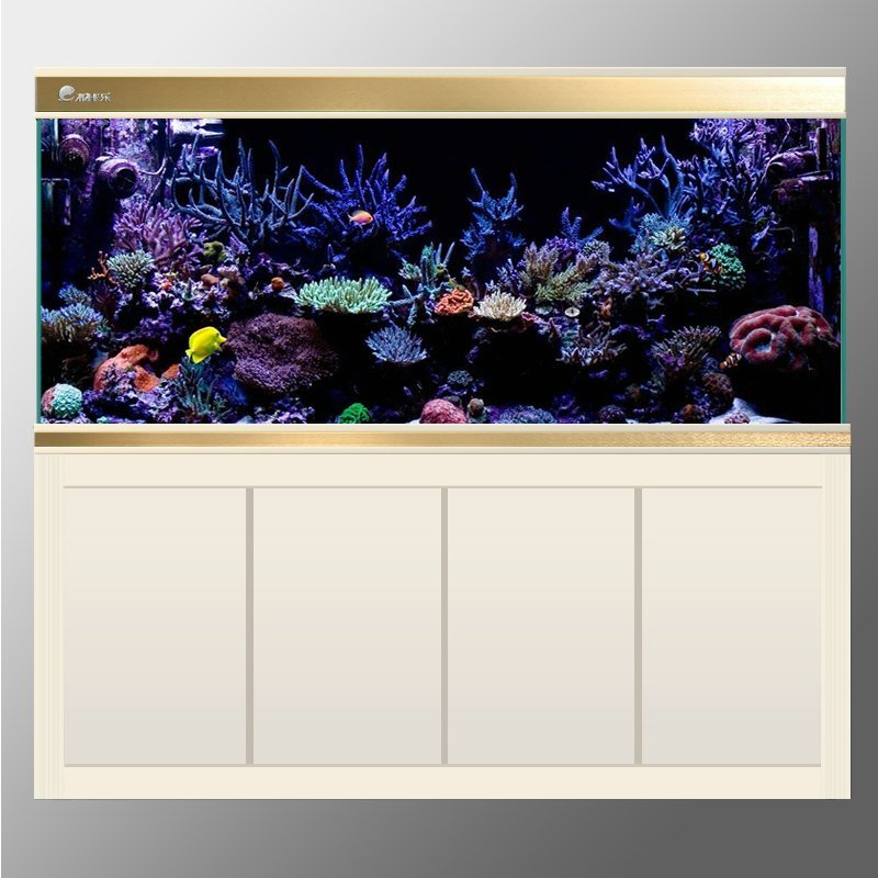 超白玻璃龙鱼缸中大型鱼缸水族箱底滤生态大鱼缸1.2米1.5米高清大图
