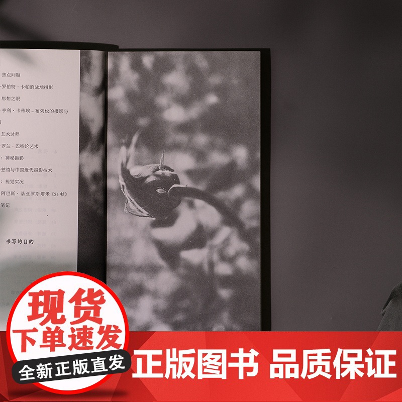 [正版]艺术,以及那些孤影 唐棣 著 文学 艺术 摄影 电影评论 广西师范大学出版社高清大图