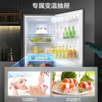 容声(Ronshen)308升 [新品首发]双门两门电冰箱 纤薄机身少占地 水润自然风 BCD-308WD17D