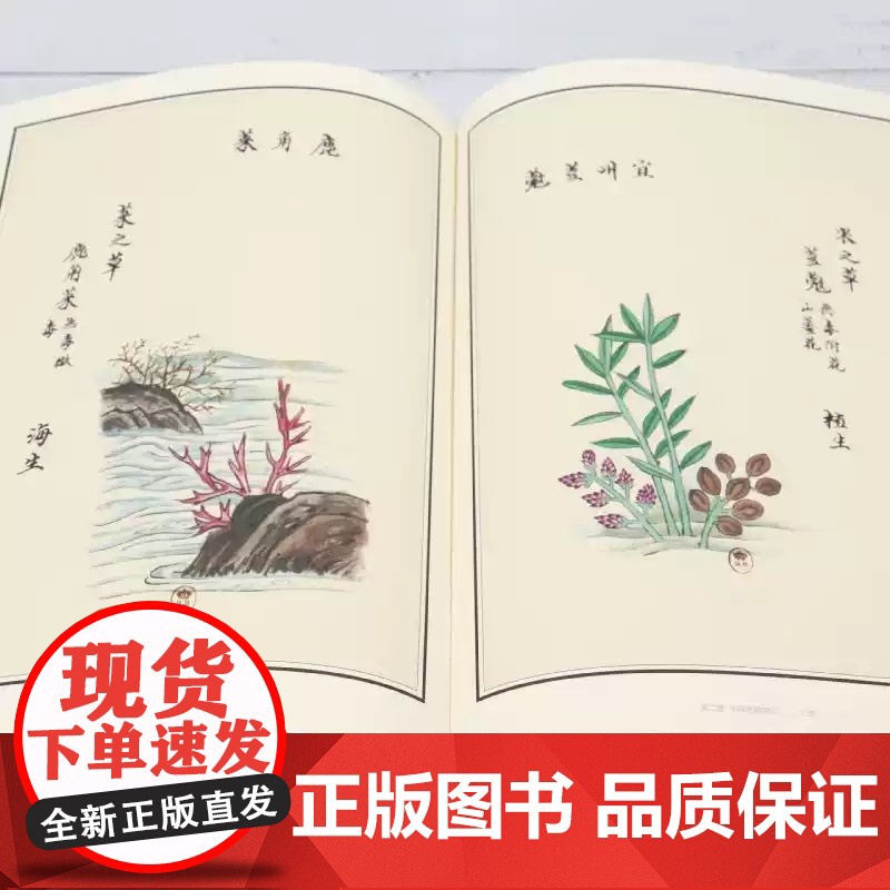 书籍正版 法国国家图书馆藏中国古代博物图集:卷:Volume 1 皮埃尔·约瑟夫·布乔兹 湖北社 自然科学 978757高清大图