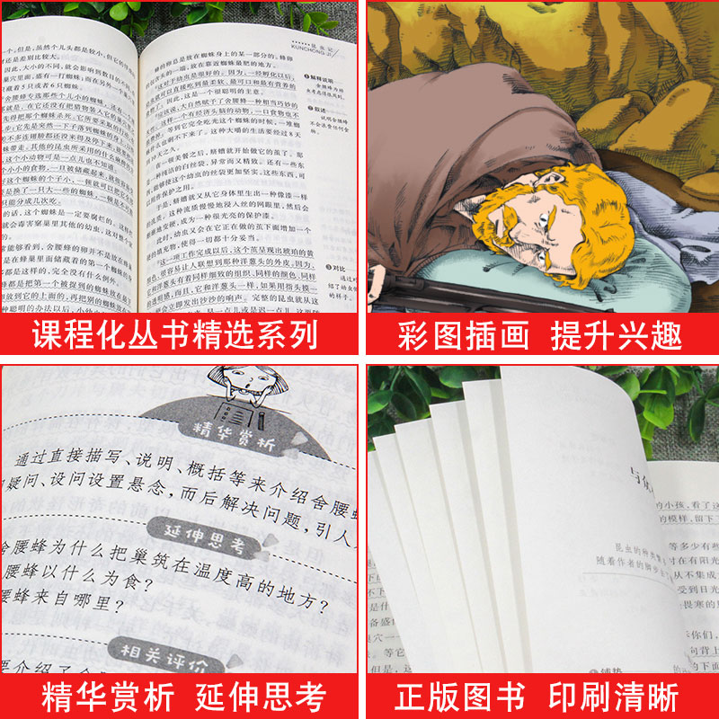[全套4册]六年级下册必读书目[考点] [正版]4册!鲁滨逊漂流记爱丽丝漫游奇境记尼尔斯骑鹅旅行记汤姆索亚历险记 初高清大图