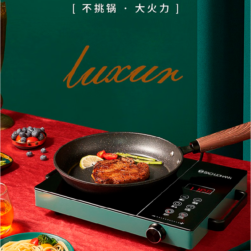 巴赫约翰德国巴赫 BH-DTL01电陶炉