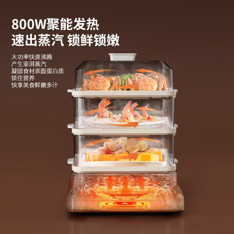 HYUNDAI(现代)多功能电蒸锅XX-DZG08 白色 18L高清大图