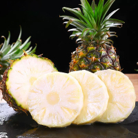 【西沛生鲜】云南牛奶凤梨 净重4.5斤 当季新鲜水果 酸甜多汁 产地精选