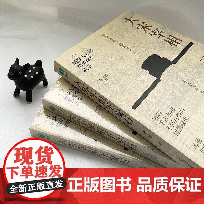 大宋宰相王安石 领略千古名相的智慧权谋 历史人物传记 着重还原了王安石在经学、易学、诗文等方面的地位和贡献高清大图