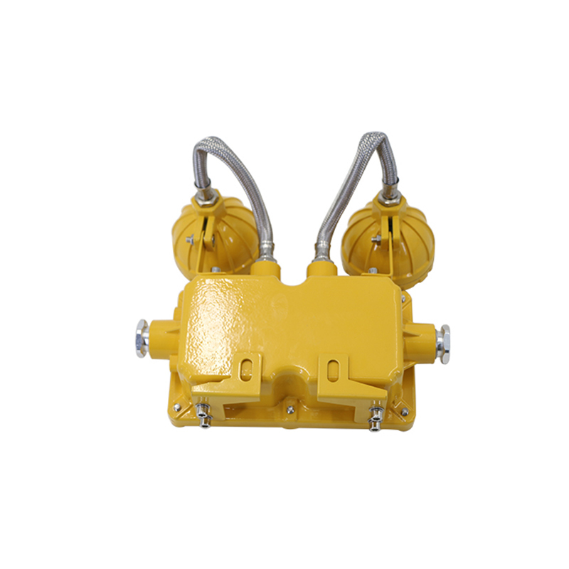 简工智能 JG-ZFZD-E6W GJ 2×3W IP65 220V LED光源 5500K 应急照明灯(单位:盏)黄色