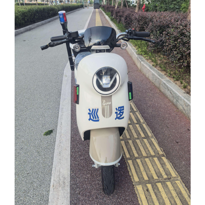 立马 TDT173-1Z巡逻电动车巡逻电瓶车保安巡逻两轮巡逻电摩高清大图