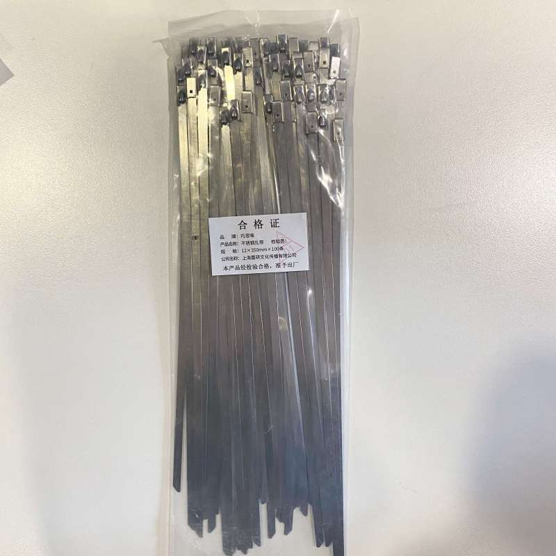 巧思唯 不锈钢扎带 12*350mm*100条 包
