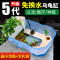 乌龟小乌龟缸大型养龟的专用鱼缸巴西龟别墅饲养箱生态缸房子