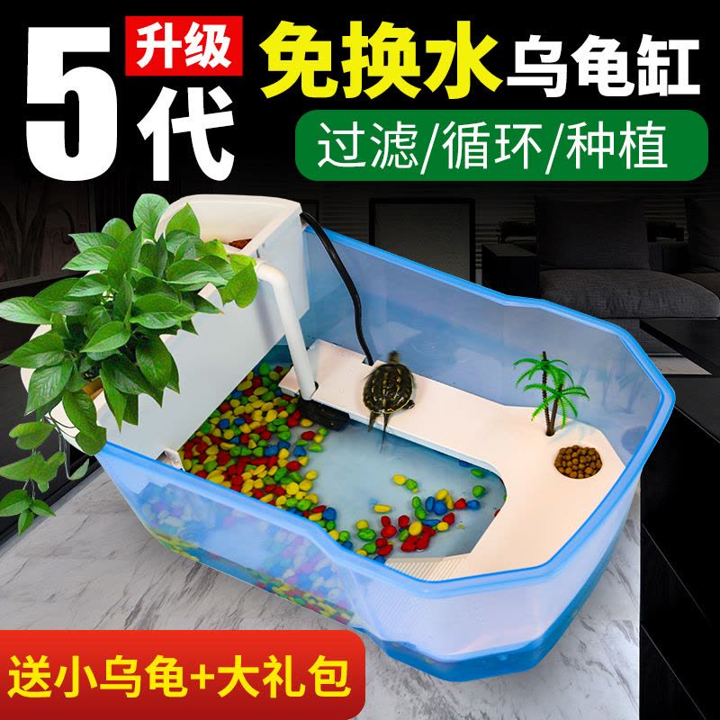 乌龟小乌龟缸大型养龟的专用鱼缸巴西龟别墅饲养箱生态缸房子图片