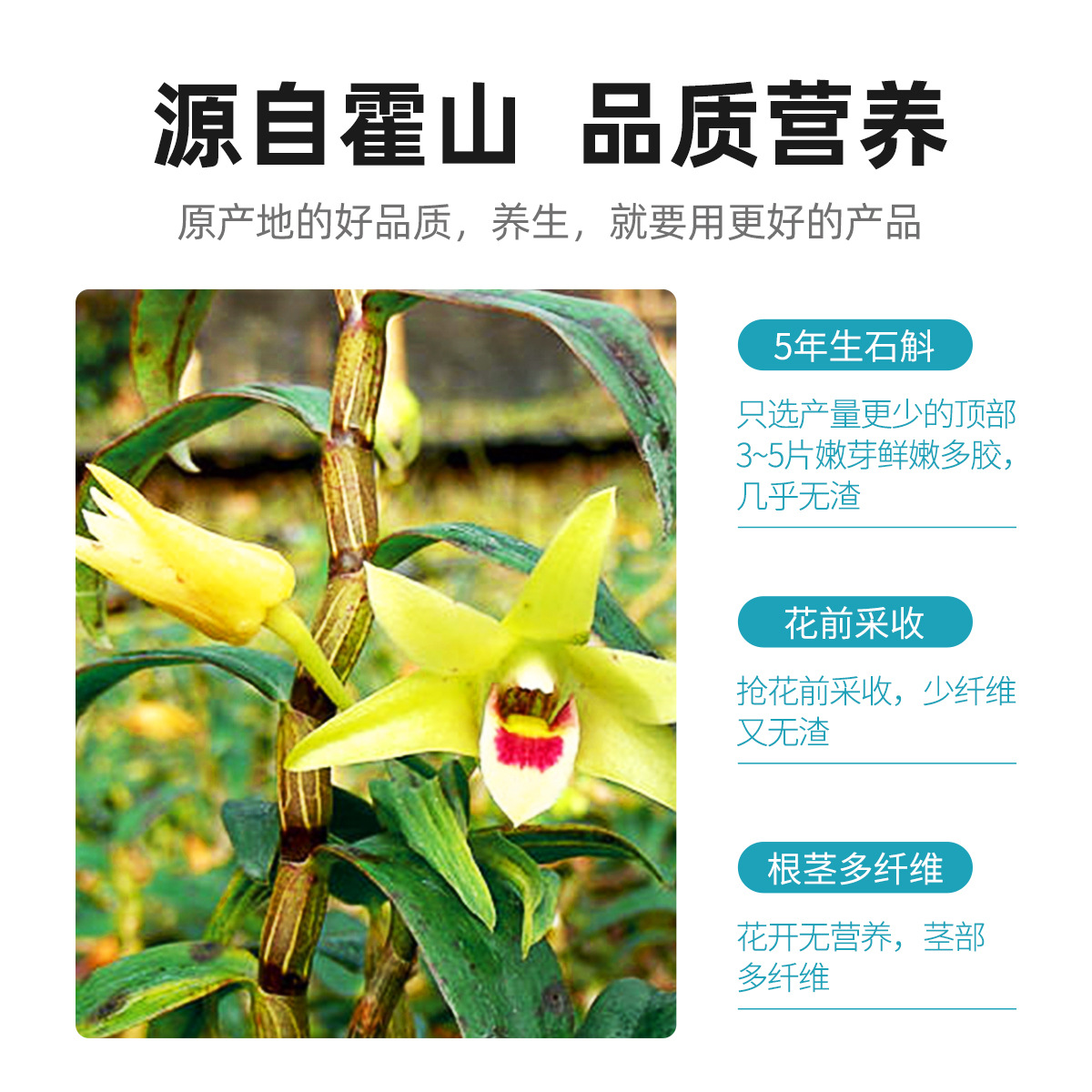 100g礼盒装 霍山石斛 年货送礼铁皮石斛五年生铁皮石斛过节礼品 枫斗官方旗舰店高清大图