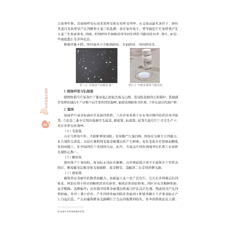 醉染图书食育与健活9787569707656高清大图