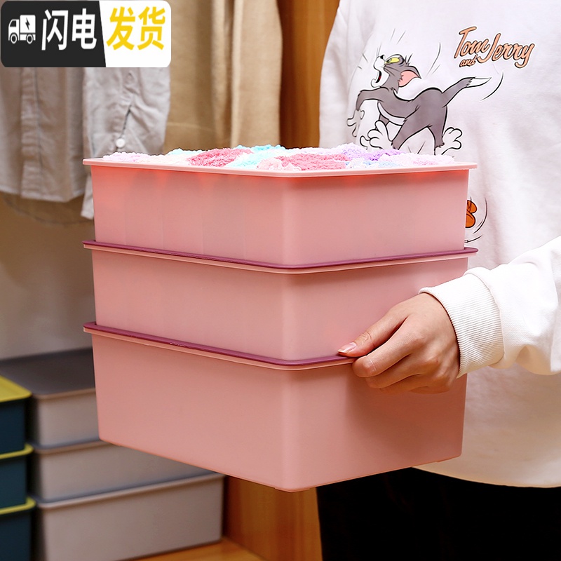 三维工匠内衣内裤收纳盒家用分格有盖放文胸装袜子收纳学生宿舍衣柜内高清大图
