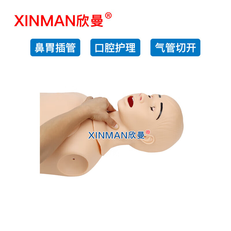 欣曼 高级鼻胃插管及口腔护理模型人 鼻饲模型XM-BWGA高清大图