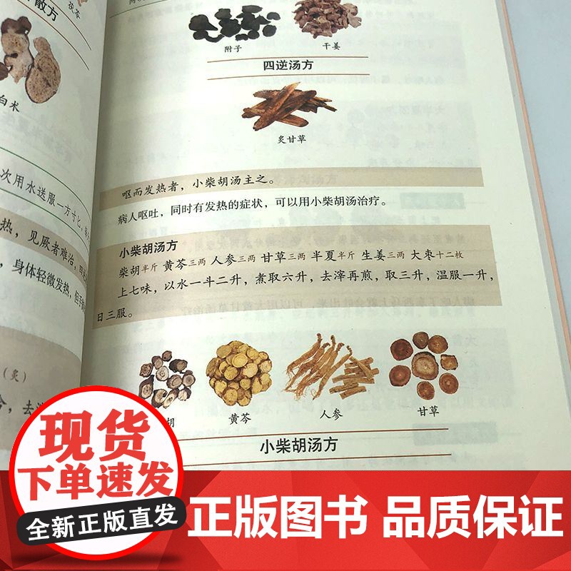伤寒论张仲景正版金匮要略原版讲义图解全注全译中医临床必读伤寒杂病论中医基础理论书籍中医四大经典名著自学入门古籍医学倪海厦高清大图