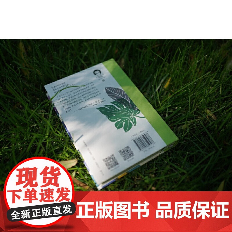 正版书籍 2册 你值得过更好的生活2 罗伯特·沙因费尔德 张德芬心灵审视自身 激发潜能和天赋心理学心灵修养书籍高清大图