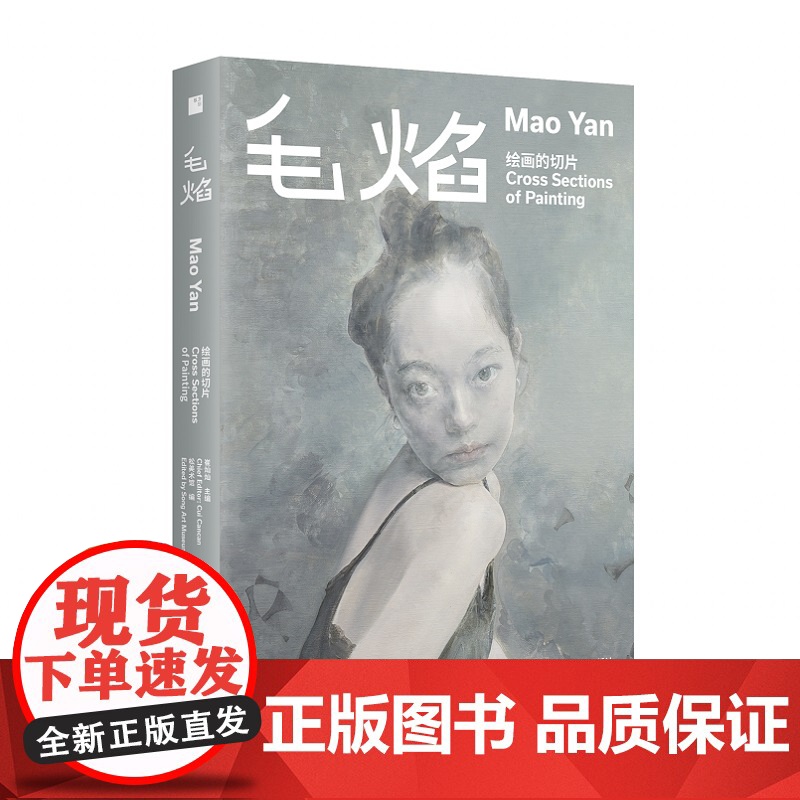 【店正品 当天发货】绘画的切片:毛焰作品集 收录100余件绘画作品 展览图录 另附韩东、汪民安、李小山等评论