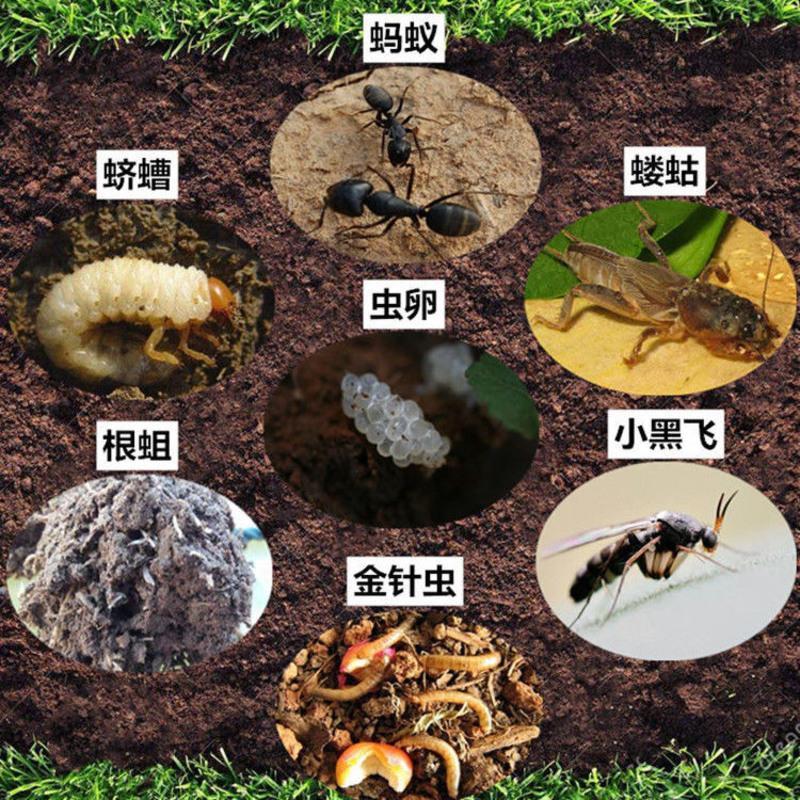泥土花盆景土壤里杀虫剂除虫花卉绿植物家用刹菌地下害虫杀小黑飞土壤