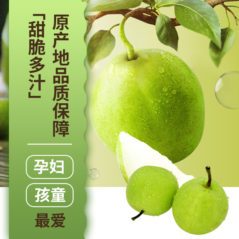 砀山皇冠香梨梨子新鲜当季果园直采砀山脆梨水果礼盒装送礼公司福利高清大图