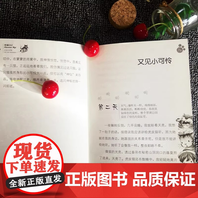 杨红樱笑猫日记24 又见小可怜 7-9-10-12岁二三四五六年级小学生趣味课外阅读书籍 少儿校园励志成长故事书 少儿童高清大图