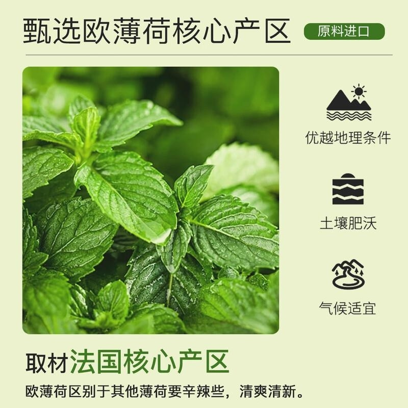 ZRZR法国欧薄荷精油10ml以油养肤面部单方精油脸部护肤 清透毛孔黑头高清大图