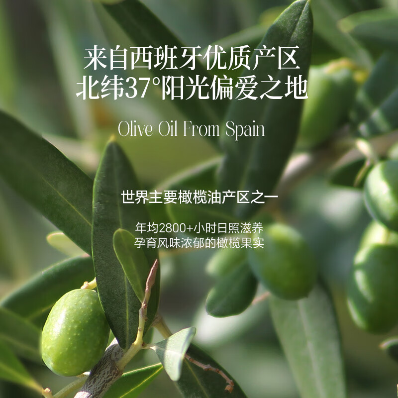 晟麦鲜煮面非油炸健康速食袋装方便面鲜美可口营养美味即食精选上等小麦高清大图