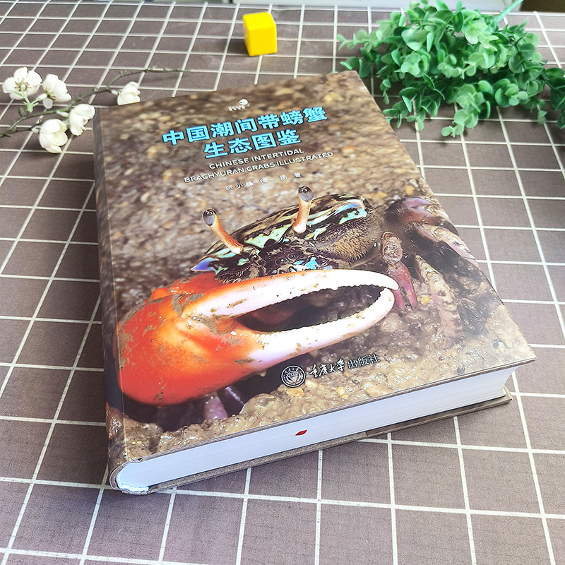 ❤常见蝴蝶野外识别手册 [正版]科普书籍好奇心书系野外识别手册常见爬行动物兜锹花臂蜚蠊蜘蛛蘑菇蜗牛蝴蝶昆虫蜻蜓琥珀天体云高清大图
