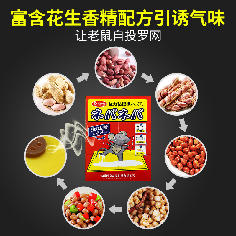 科凌虫控 15张老鼠贴 超强力粘鼠板 抓大老鼠夹灭鼠胶家用捕鼠神器
