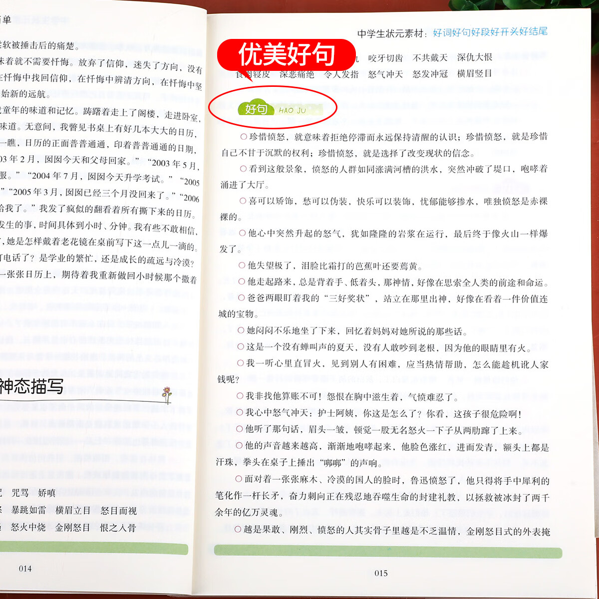 中学生好词好句好段好开头好结尾 满分素材大全 初中优美句子积累本七八九年级作文素材上册下册作文书必读课 好词好句好段好开高清大图