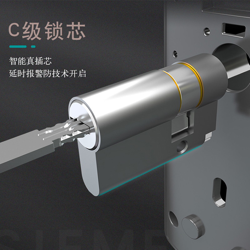 西门子指纹锁 智能门锁家用防盗门锁密码锁电子锁 C321 C级锁双核 香槟金